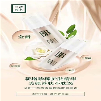 调理养肤修颜霜（BB）