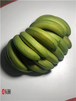 云南威尼斯香蕉