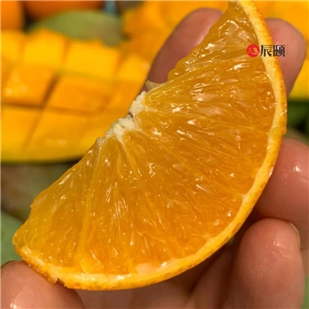 桂林夏橙