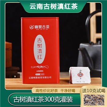 云南特产茶叶罐装春茶滇红茶300克铁罐云南古树滇红茶红茶叶