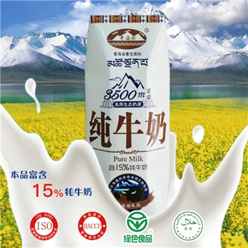 青海湖 牦牛奶 高钙牛奶纯牛奶儿童成人孕妇牛奶全脂早餐奶 250ml*12/箱 礼盒装15%牦牛奶
